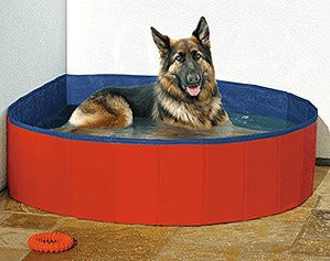 Karlie Doggy Pool O 160 Cm Blau Rot Amazon.de Haustier