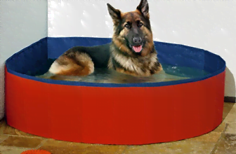 Karlie Doggy Pool o  160 cm blau rot   Amazon.de  Haustier