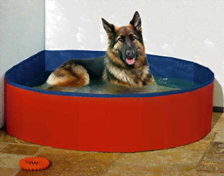 Karlie Doggy Pool o  160 cm blau rot   Amazon.de  Haustier