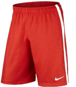 Nike Max Graphic Fussballshorts e1648151314394