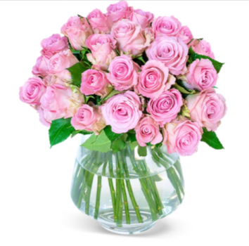 50 pinke Rosen verschicken BlumeIdeal de