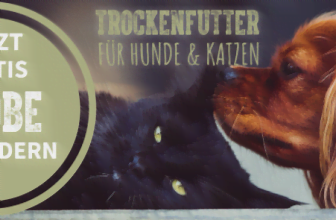 Jetzt Futterprobe fuer Hunde oder Katzen GRATIS anfordern   BLACKCANYON MARKENSHOP