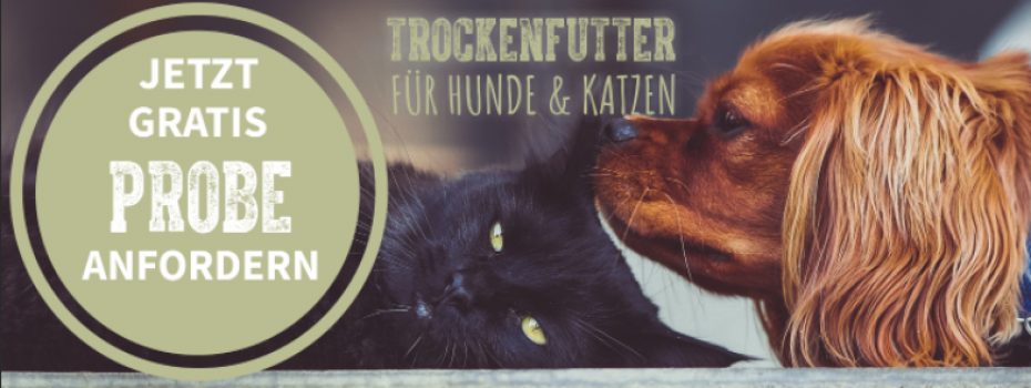 Jetzt Futterprobe fuer Hunde oder Katzen GRATIS anfordern   BLACKCANYON MARKENSHOP