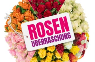 Rosenüberraschung im Angebot mit 41 Rosen ► BlumeIdeal.de