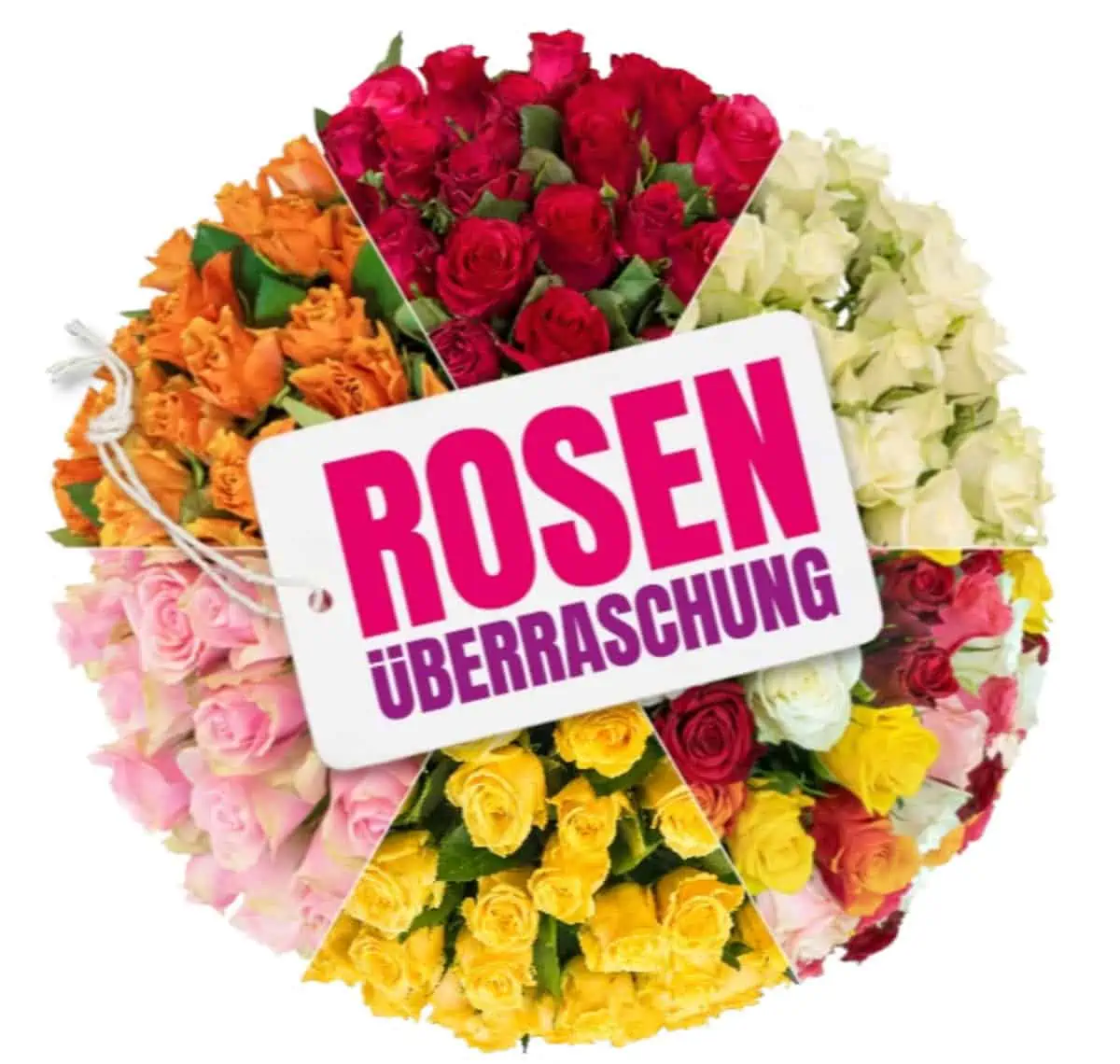 50 Rosen in Überraschungsfarben (bis 40-50 cm Länge) für 26,98 € inkl. Versand 🌹