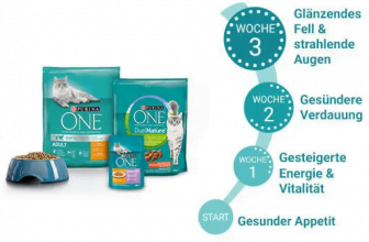 3 Wochen Testaktion PURINA ONE Katze   PURINA