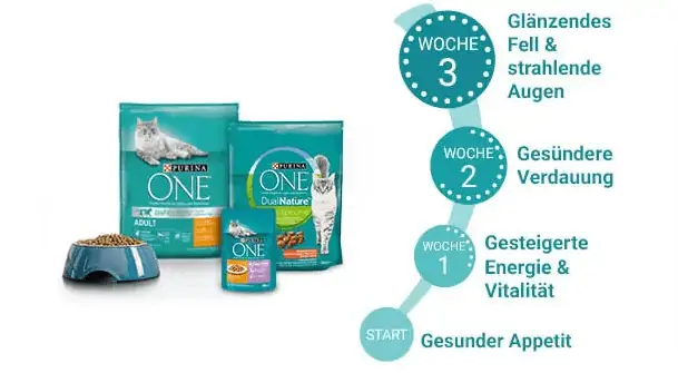 Gratis testen: PURINA ONE® Katzenfutter (bis zu 9 € Cashback)