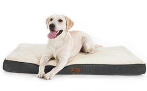 Bedsure Orthopädisches Hundebett Mittelgrosse Hunde 91X69X7.6Cm Hundekissen Flauschig Hundematte Wa