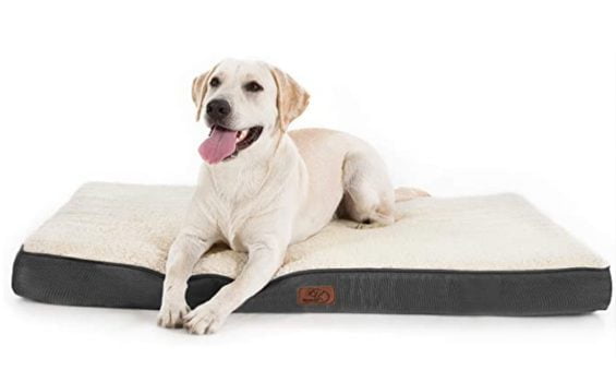 Bedsure orthopädisches Hundebett mittelgrosse Hunde 91x69x7.6cm Hundekissen flauschig Hundematte wa