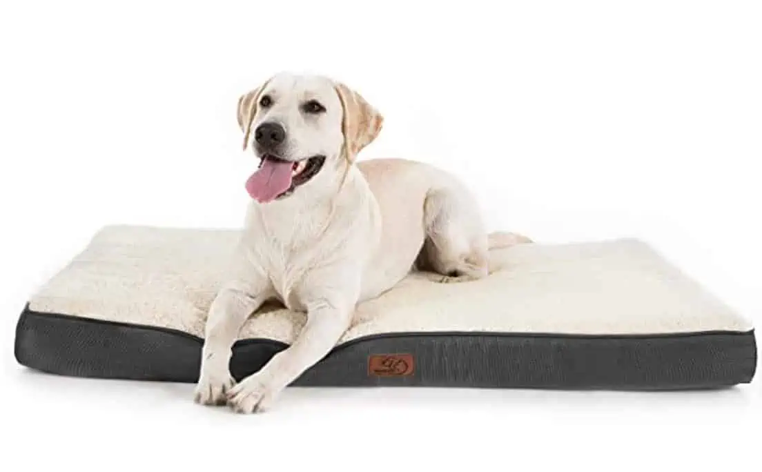 Bedsure orthopädisches Hundekissen mittelgroße Hunde für 20,99 € inkl. Prime-Versand (statt 41,99 €)