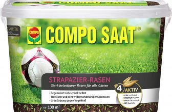 Compo SAAT Strapazier Rasen 2kg e1652184563650