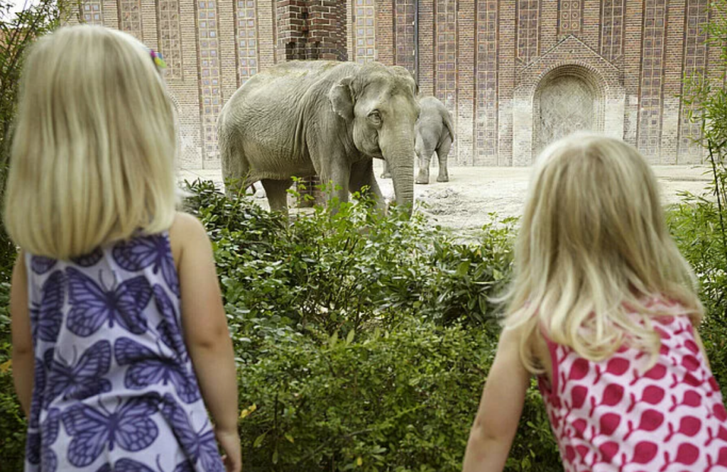 Kindertag Im Zoo Leipzig Zoo Leipzig