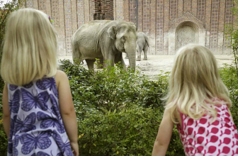 Kindertag im Zoo Leipzig Zoo Leipzig