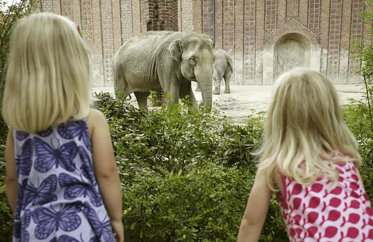 Zoo Leipzig 🐘🐒 Gratis Eintritt für Kinder bis 16 Jahren zum  zum Nikolaus