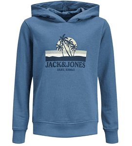 Jack Jones Boys Jormalibu Branding Sweat Hood Jnr Kapuzenpullover Bluefin Print Jj Print 164