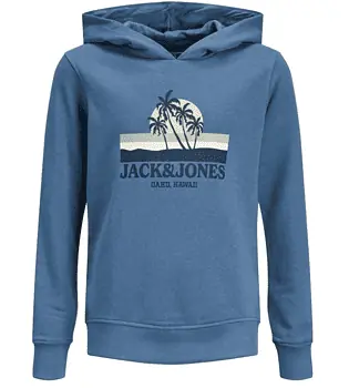 JACK JONES Boys JORMALIBU Branding Sweat Hood JNR Kapuzenpullover Bluefin Print JJ Print 164