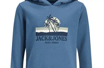 JACK JONES Boys JORMALIBU Branding Sweat Hood JNR Kapuzenpullover Bluefin Print JJ Print 164