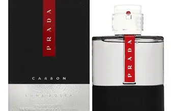 Police Prada BACK IN STOCK  Prada Luna Rossa Carbon Eau de toilette Spray 100 ml   Amazon.de  Beaut