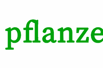 logo PflanzePlus e1654267183754