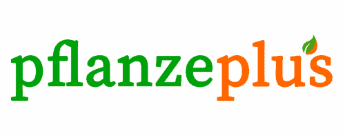 logo PflanzePlus e1654267183754