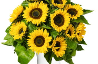 Blumenstrauß mit Sonnenblumen bestellen ► BlumeIdeal de