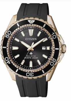 Citizen Herrenuhr BN0193 17E