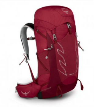 Osprey Talon 33 Wanderrucksack