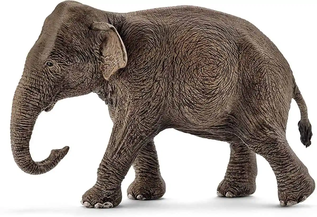 Schleich 14753 – Asiatische Elefantenkuh für 4,99 € [Prime] statt 6,47 €
