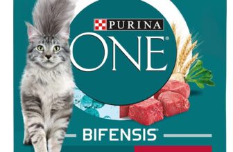 PURINA ONE BIFENSIS Adult Katzenfutter trocken, reich an Rind, er Pack ( x g) Amazon.de Haus