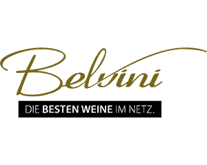 Belvini LOGO