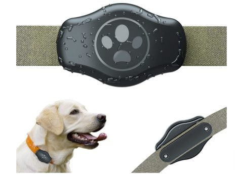 HonShoop Airtag Hundehalsbandhalter Schutzhuellen fuer Apple AirTags wasserdichte Anti Verlust AirTag Huelle fuer Katzen Hunde Halsbaender Zubehoer Rucksack Gepaeck Single Amazon de Haustier