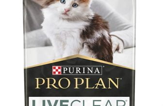 PURINA PRO PLAN LIVECLEAR Kitten Junior Katzenfutter trocken reich an Truthahn 6er Pack 6 x 1 4kg Amazon de Haustier