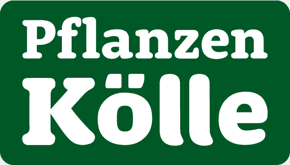 Pflanzen Koelle logo