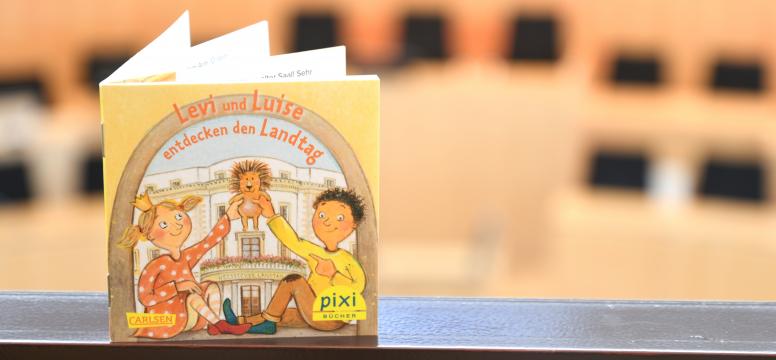 Pixi Buch Levi Und Luise Entdecken Den Landtag