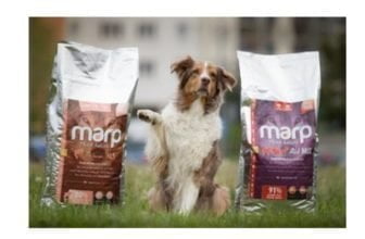 Testpaket Neukunden Hundefutter Getreidefrei 1x Pro Haushalt Bow Wow