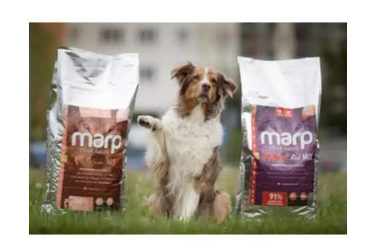 Hundefutter-Probe gratis (3,90 € Versandkosten) 470 gr Trockenfutter und 6×70 gr Leckerli