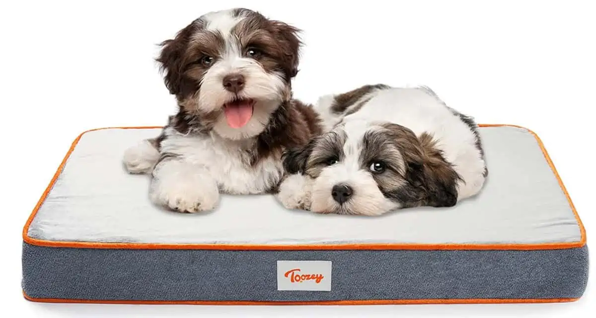 Toozey Hundebett Hundekissen für Große/Mittelgroße/Kleine Hunde ab 14,99 € inkl. Prime-Versand (statt 39,99 €)