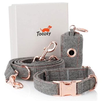 Toozey Hundehalsband und Leine Set Verstellbar Hundehalsband Hundeleine 2m Beutelspender im Set Stilvollen Rose Gold Metall Schnalle Hundeleine mit Halsband fuer Kleine Grosse Hunde Amazon de Haustier