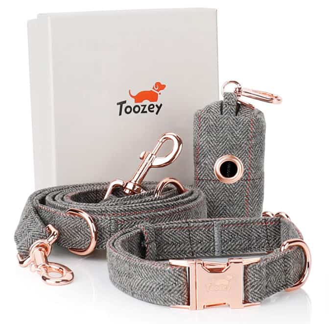 Toozey Hundehalsband Und Leine Set Verstellbar Hundehalsband Hundeleine 2M Beutelspender Im Set Stilvollen Rose Gold Metall Schnalle Hundeleine Mit Halsband Fuer Kleine Grosse Hunde Amazon De Haustier