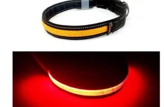 Toozey LED Leuchthalsband Hund mit 3 Beleuchtungsmodi Einstellbare Laenge