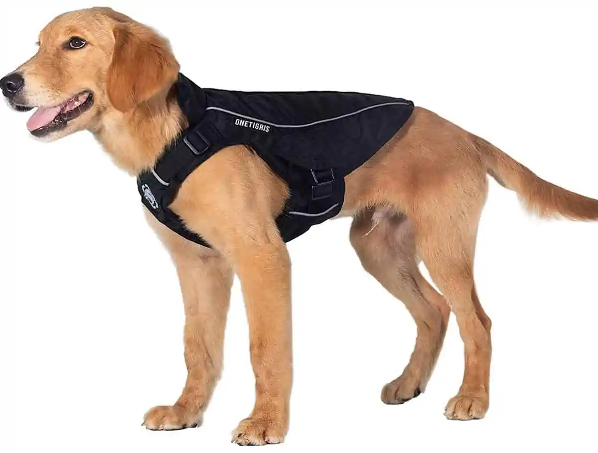 OneTigris Achilles Hundemantel für 11,70 € inkl. Prime-Versand (statt 38,99 €)