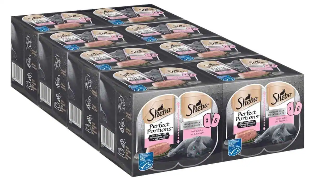 Sheba Perfect Portions Katzennassfutter – Edle Pasteten mit Lachs (MSC) – 8x3x(2×3 Schalen à 37,5g) ab 18,97 € inkl. Prime-Versand (statt 27,21 €)