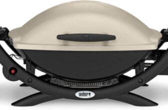 Weber Q2000 Gasgrill Titan e1670844138243