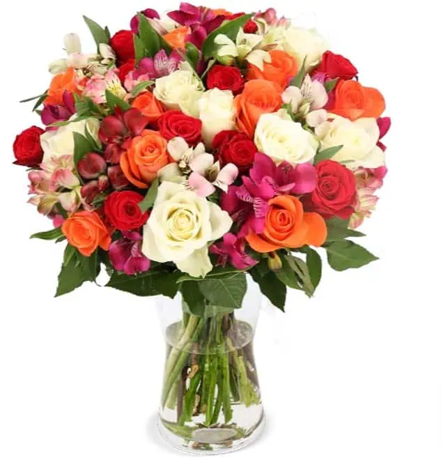 30 Stiele Sunset mit 100 Blüten für 24,98 € inkl. Versand