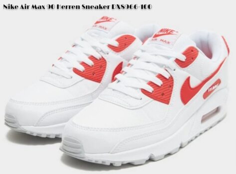 Nike Air Max Herren Sneaker DX