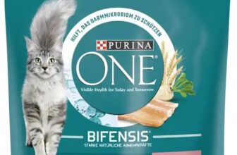 Purina One Bifensis Katzenfutter 750g