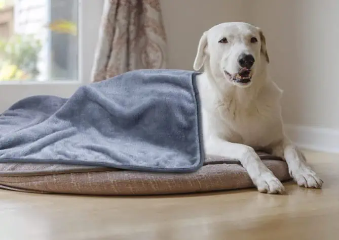Pethere Hundedecke Fleece 120cm * 100cm für 7,99 € inkl. Prime-Versand (statt 15,99 €)