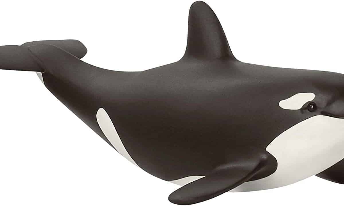 Schleich Orka Junges