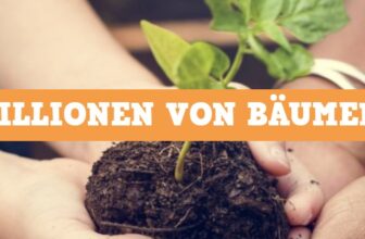 Mehr Baeume Jetzt Unser Ziel millionen vom Baeumen