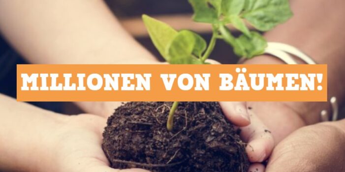 Mehr Baeume Jetzt Unser Ziel millionen vom Baeumen